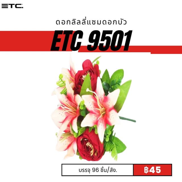 etc9501.jpg