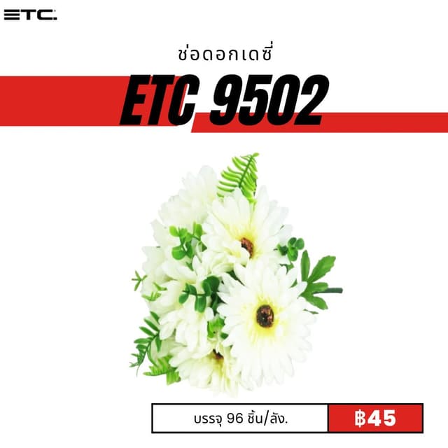 etc9502.jpg
