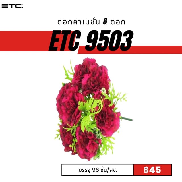 etc9503.jpg