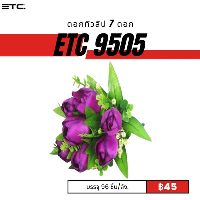 etc9505.jpg