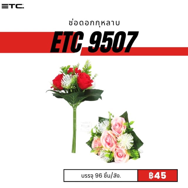 etc9507.jpg