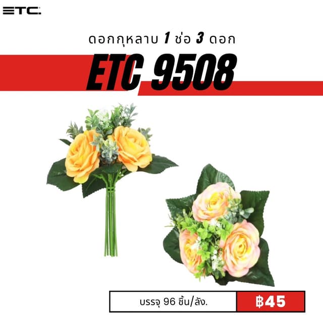 etc9508.jpg