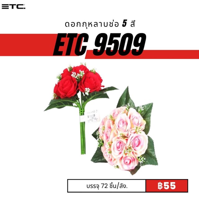 etc9509.jpg
