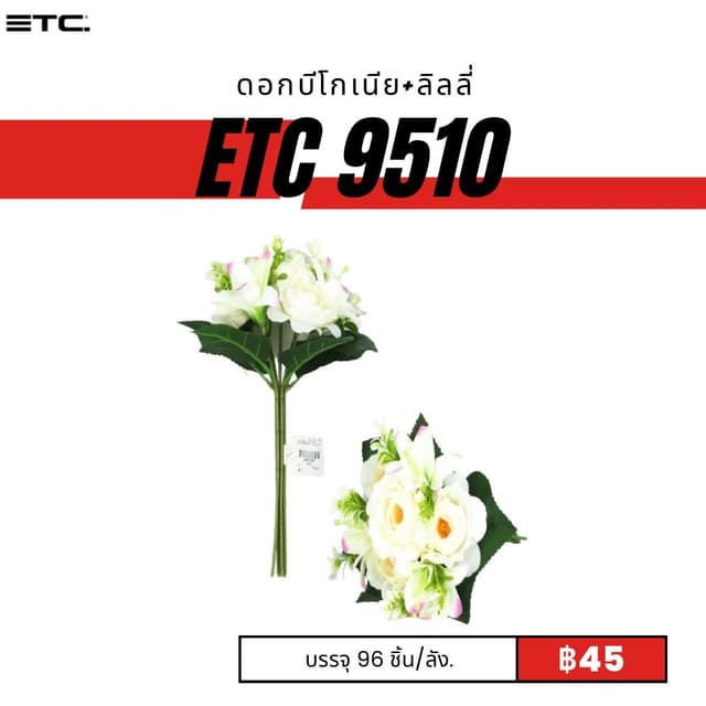 etc9510.jpg