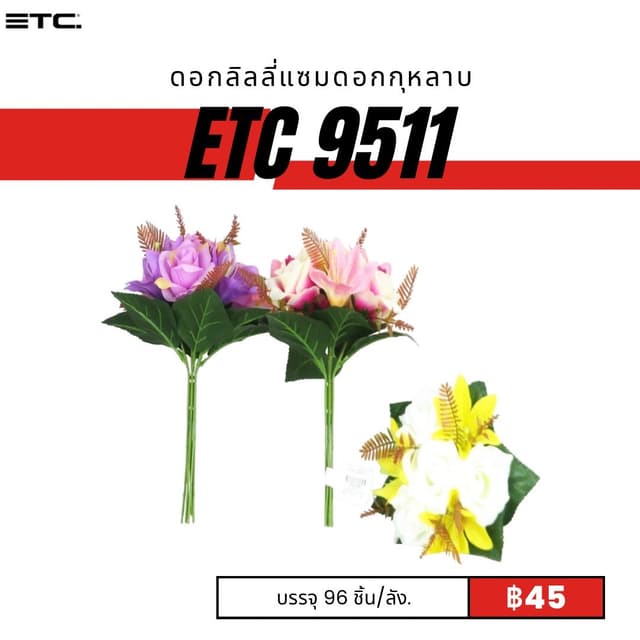 etc9511.jpg
